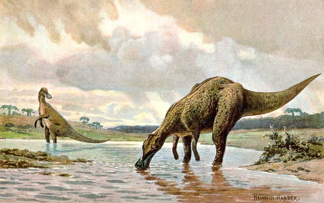 Фото по запросу Виды динозавров